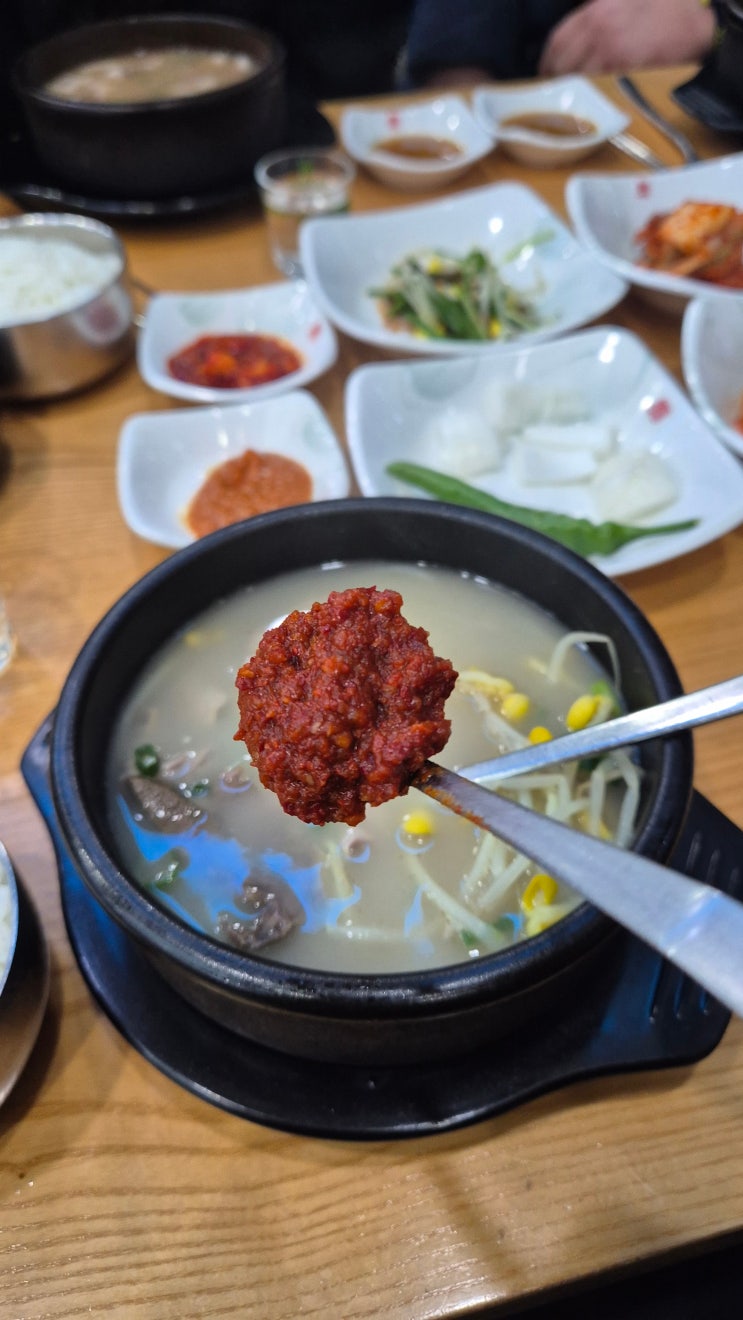  수원 순대국밥맛집! 24시간 해장 가능한 고색동맛집! [최미삼순대국]