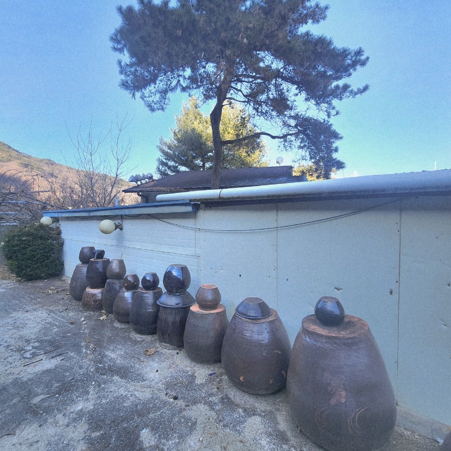 엄마손팥죽 사진 5