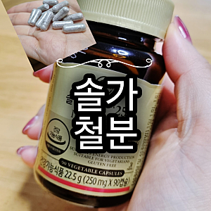 내돈내산, 솔가철분제 후기, 철분영양제 후기, 복용법, 변비, 다이어트