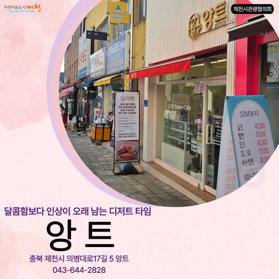 앙트 사진 4