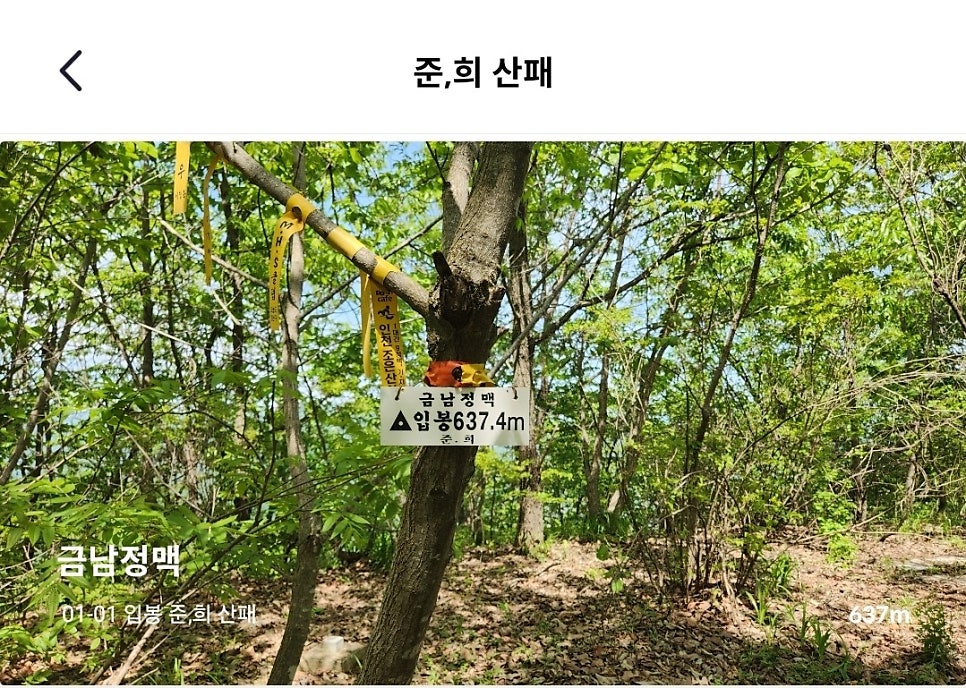 알프스산장 사진 2