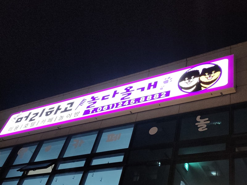 사진 2
