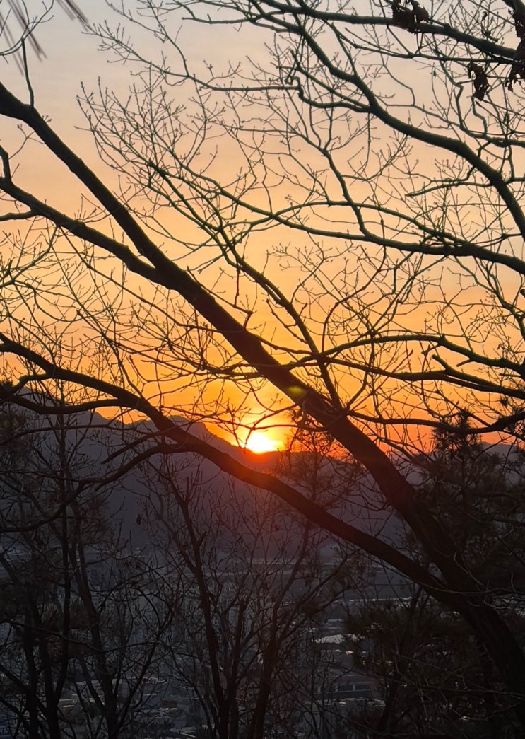  인생 새옹지마