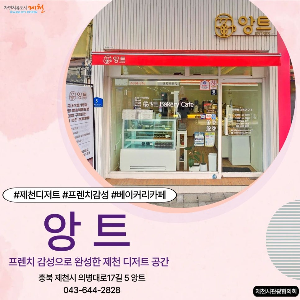 앙트 사진 1