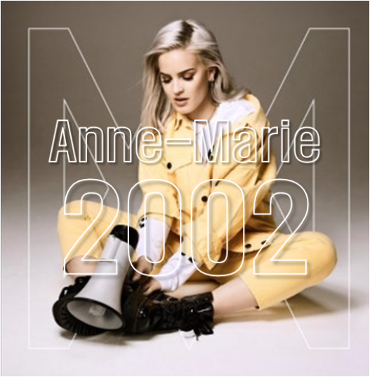 [팝송 추천] Anne Marie(앤마리) - 2002 가사 해석