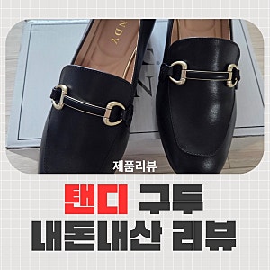 [내돈내산] 탠디 구두 | 탠디 로퍼 여성 구두 추천 (feat.롯백잠실Tandy)