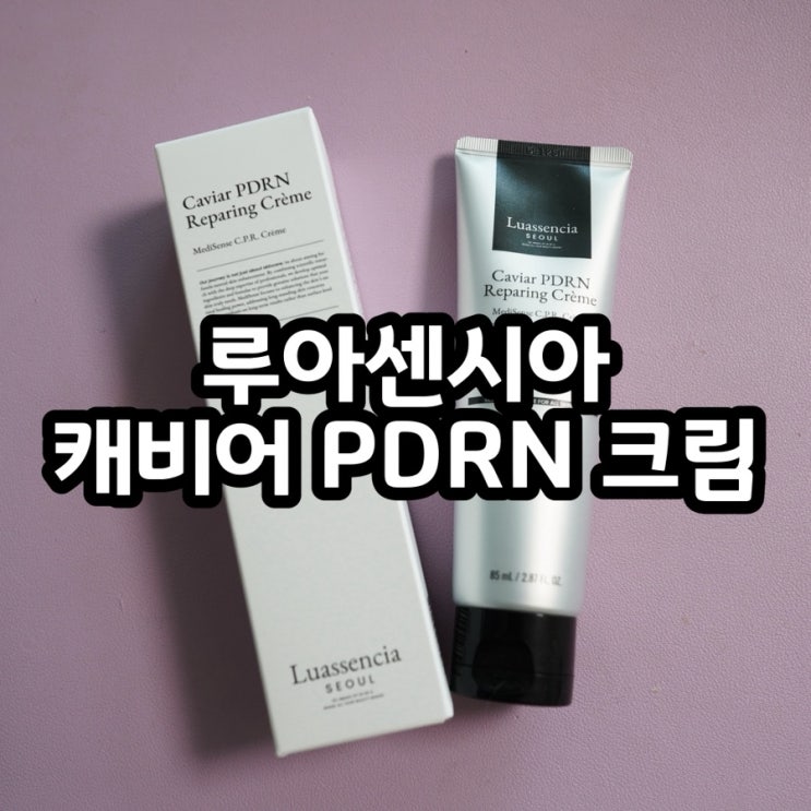  겨울 속건조 구원템 장벽크림 찾았다 루아센시아 PDRN 크림 리얼 사용기