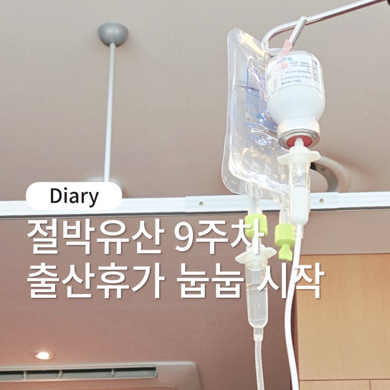 절박유산 병가 임신 9주차 출혈 피고임으로 산전 출산휴가 눕눕 시작