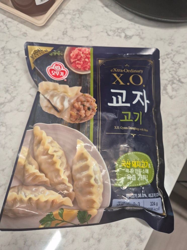  느끼한 만두는 싫은 나의 담백한 만두 추천