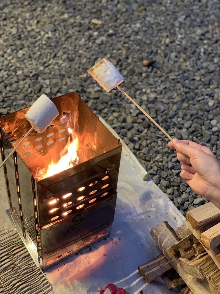  캠핑 요리 BEST 5 파전 마시멜로 모듬곱창 군밤 버터구이오징어