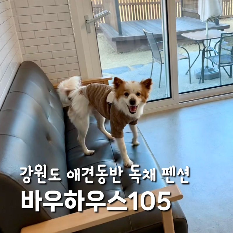 바우하우스105