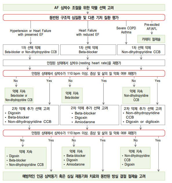 심전도 공부하기 # 8 상심실성 빈맥_심방조동,PSVT,WPW증후군_심방세동★