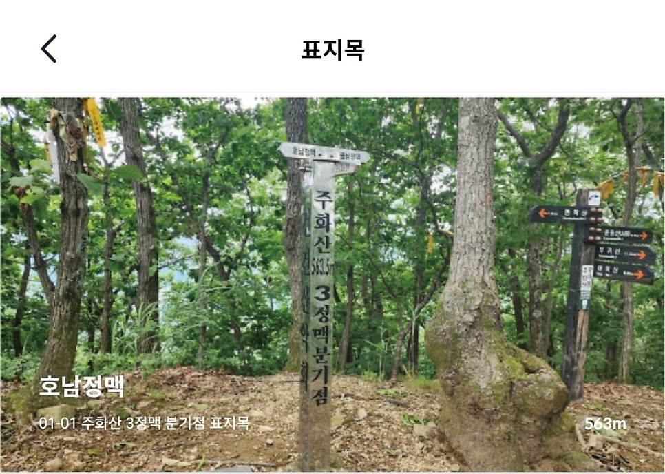 알프스산장 사진 1