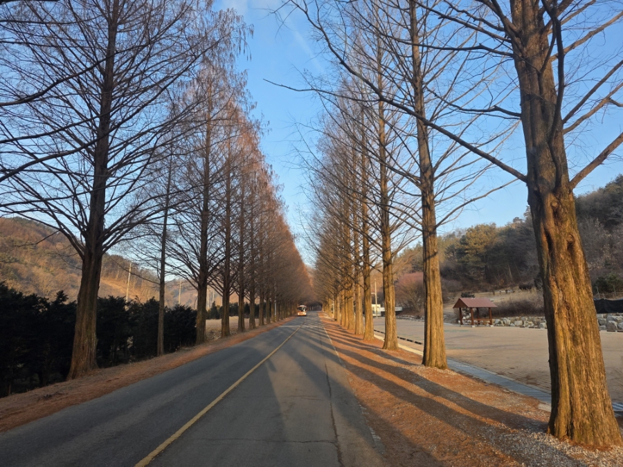 비안목골 사진 4