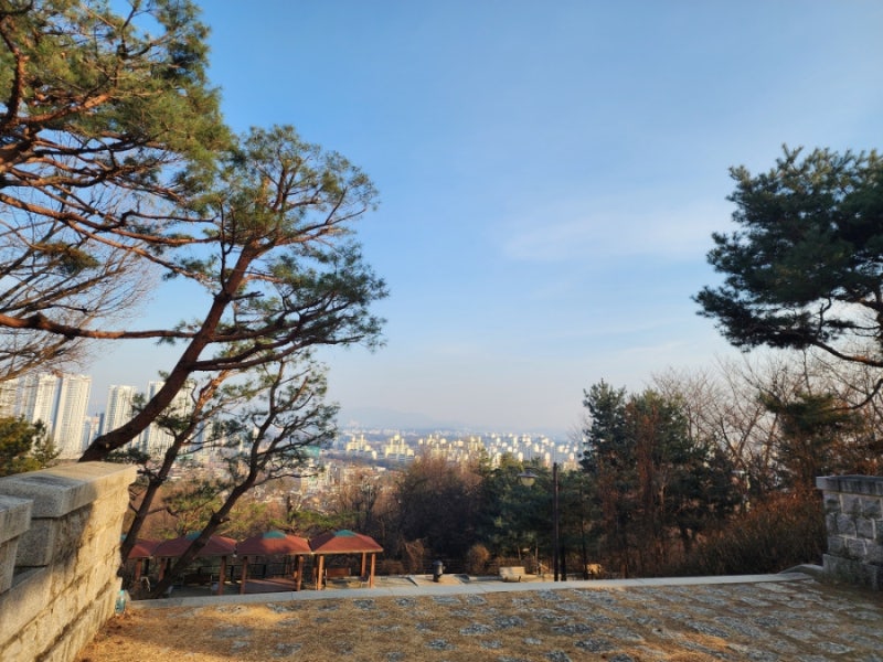 사진 4