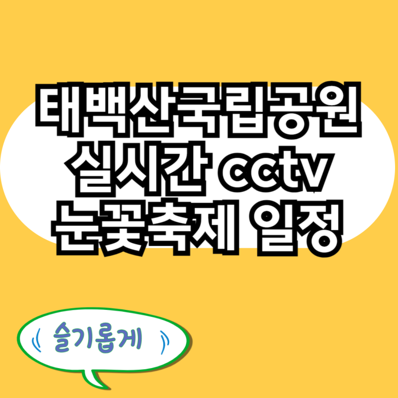 태백산국립공원 CCTV 실시간 기상 천제단 확인 2026 태백산 눈꽃축제 날짜 기간 일정 완전정복