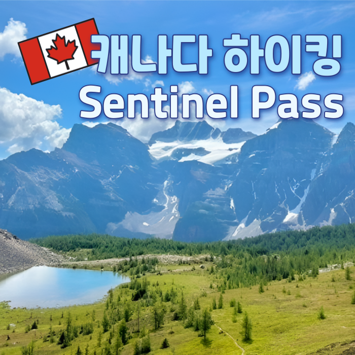   캐나다 모레인 레이크 하이킹 | Larch Valley Trail 왕복 5시간 하이킹