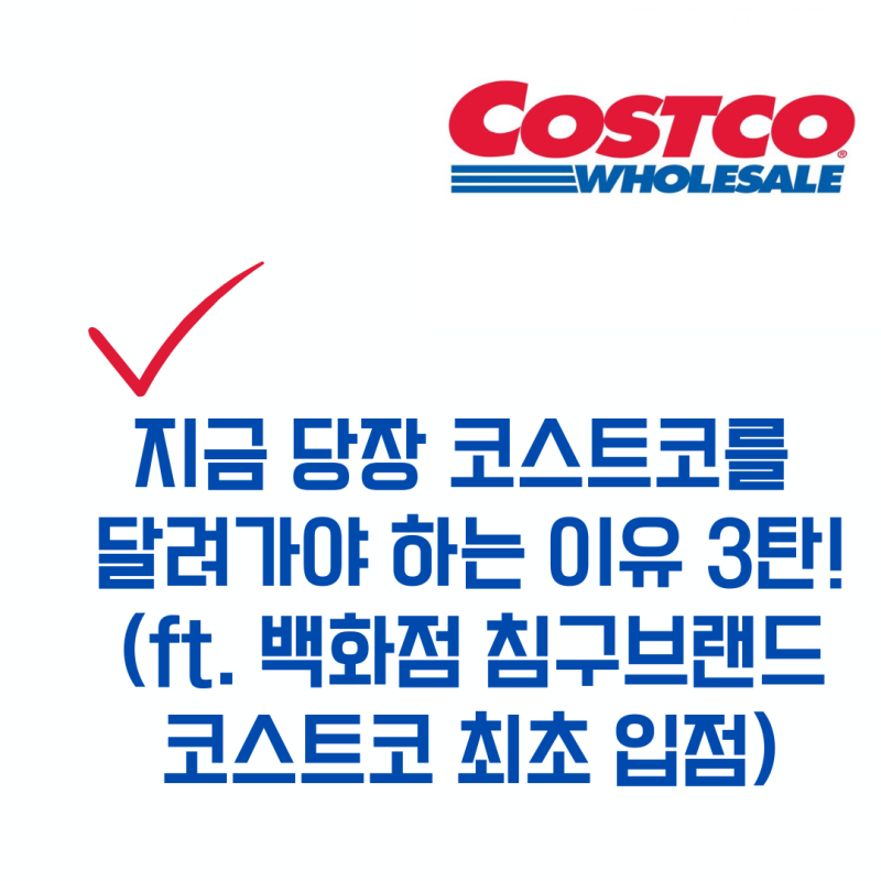 코스트코 긴급 입고! 박홍근 홈 침구 '최초' 입점 현장 (겨울 양모 이불/극세사/모달 가격 총....