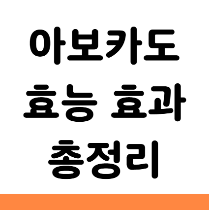  아보카도 효능 효과 먹는 법 보관 부작용