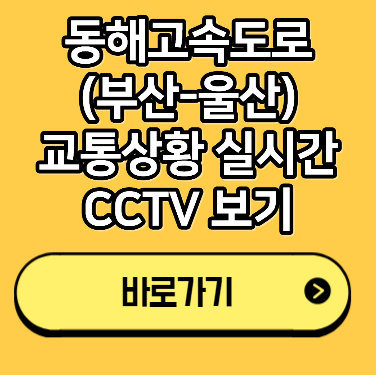 동해고속도로(부산-울산) 교통상황 실시간 CCTV 보기
