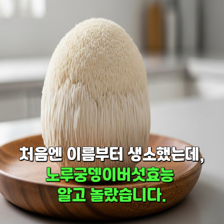  처음엔 이름부터 생소했는데, 노루궁뎅이버섯효능 알고 놀랐습니다.
