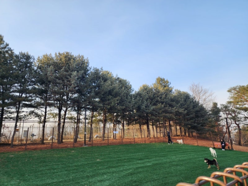 사진 5