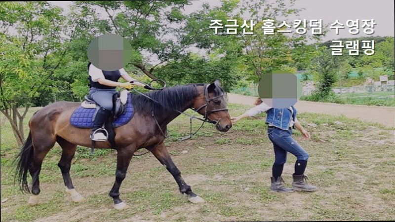 사진 2