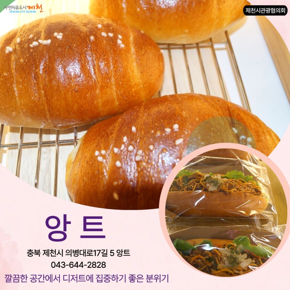 앙트 사진 3