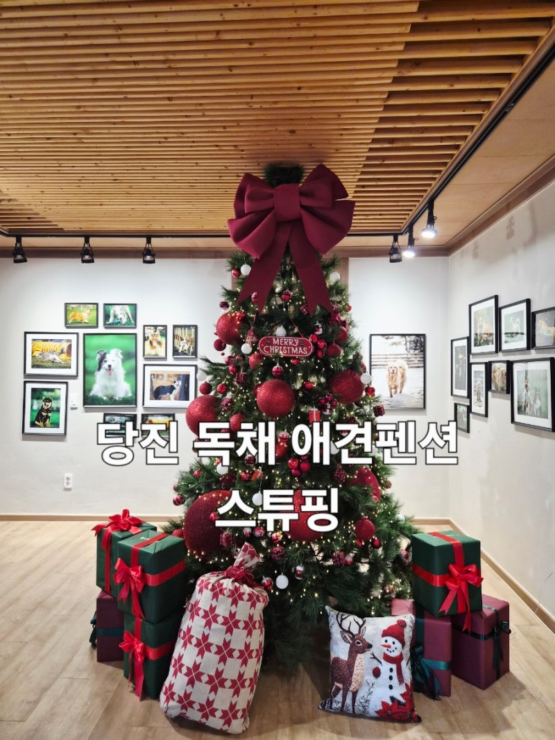 사진 7