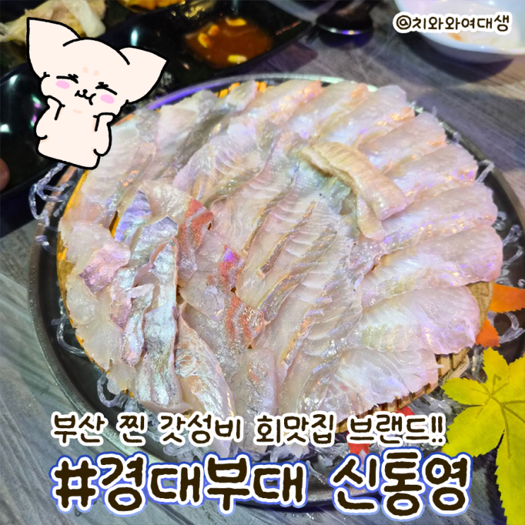  부경대 맛집 횟집 신통영 경성대점 재방문