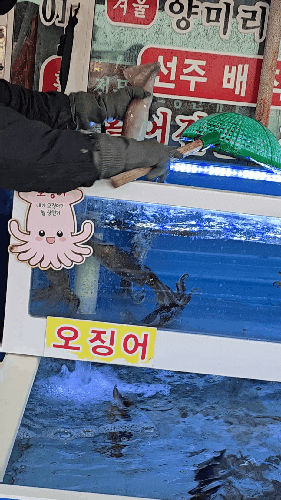  강릉 회 포장 사천해변 자연산수산물직판장 후기