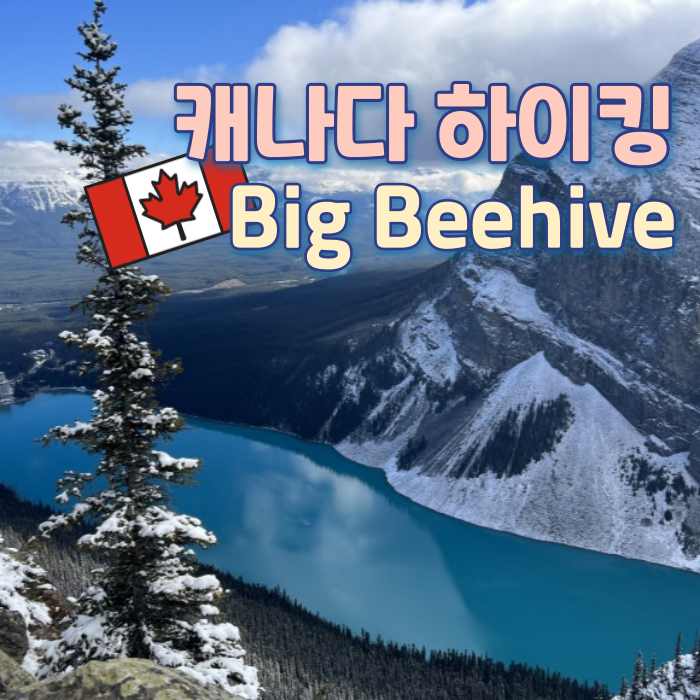   캐나다 하이킹 레이크 루이스 Big Beehive in 10월