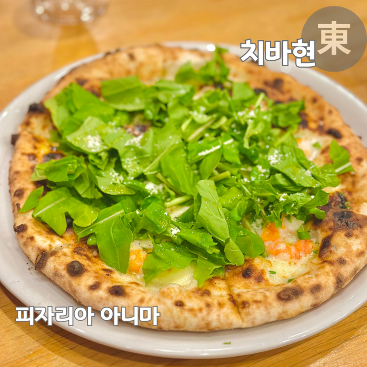  나리타 현지인 맛집 화덕피자 파스타 전문점 피자리아 아니마