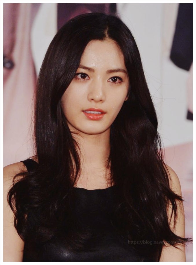  배우 나나 자택 강도 침입 사건 총정리 흉기든 도둑의 역고소 내용과 소속사 공식입장
