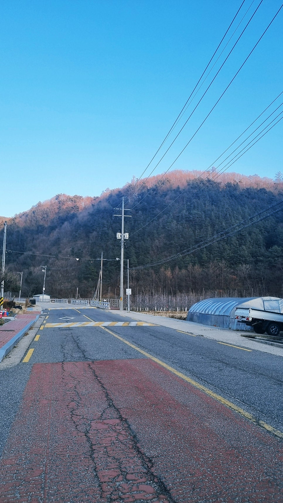 가마솥돼지국밥 사진 3