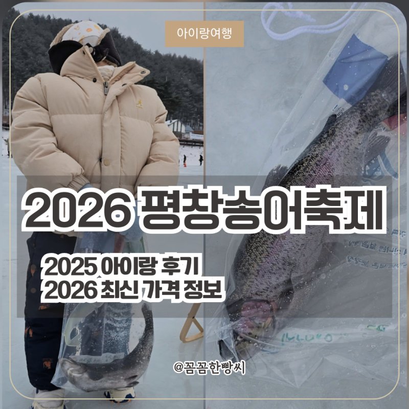 평창송어축제 2025년 후기｜아이 동반 체험 기록 & 2026년 가격 정보