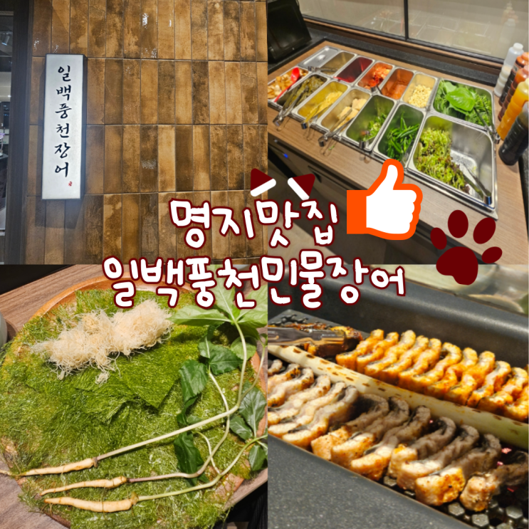  부산 명지 맛집: 일백풍천장어 명지(대접하기 좋은 분위기! 장어가 정말 크고 부드러워요!찐맛집입니다!)