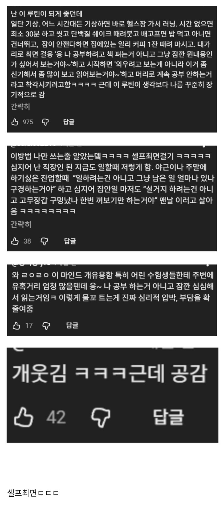  의외로 많이 공감한다는 인생 마인드셋 방식.jpg