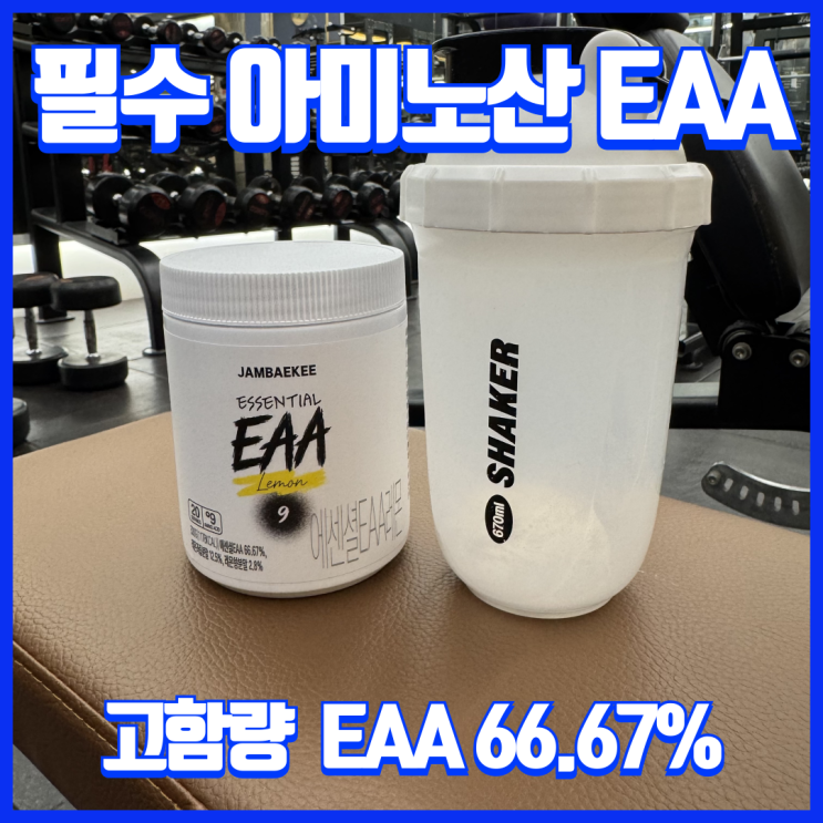  운동 중 EAA 아미노산 섭취 근손실 억제와 근합성 유지에 효과적!