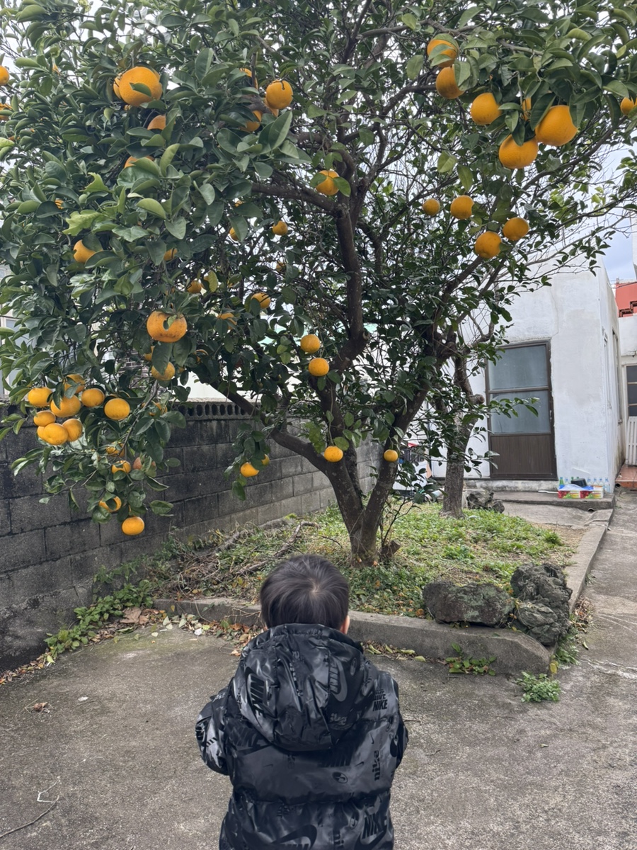 애월기록 안집 사진 1