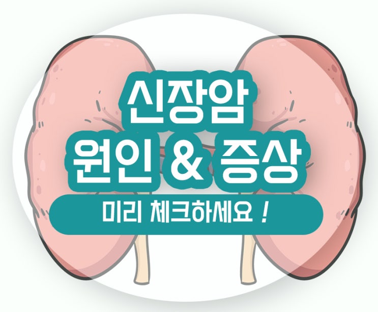  신장암 초기증상 원인 예후 중요한 점은