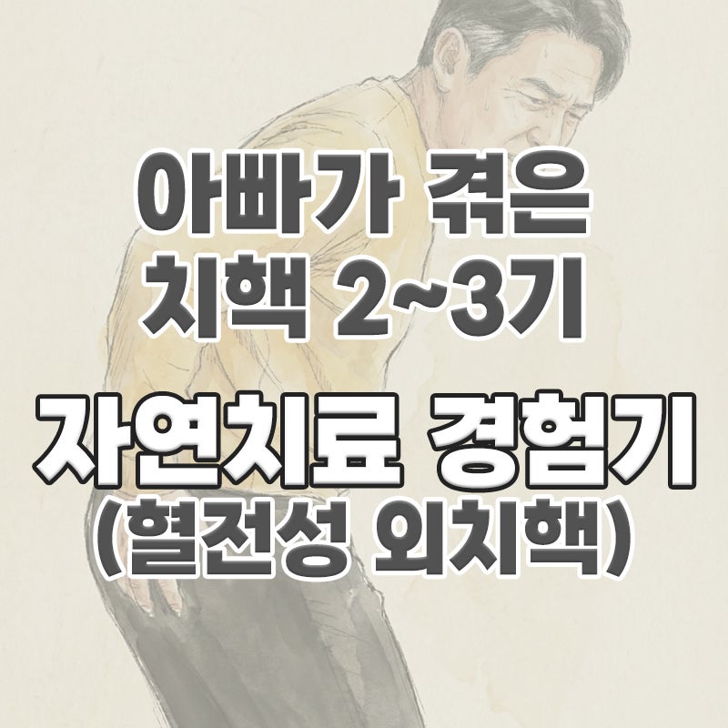 치핵 2기, 3기 (혈전성 외치핵) 아빠의 자연치료 경험기 : 생활습관 루틴 정리