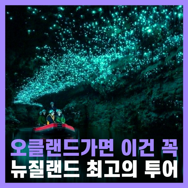  뉴질랜드 가족여행 오클랜드 투어 호비튼 와이토모