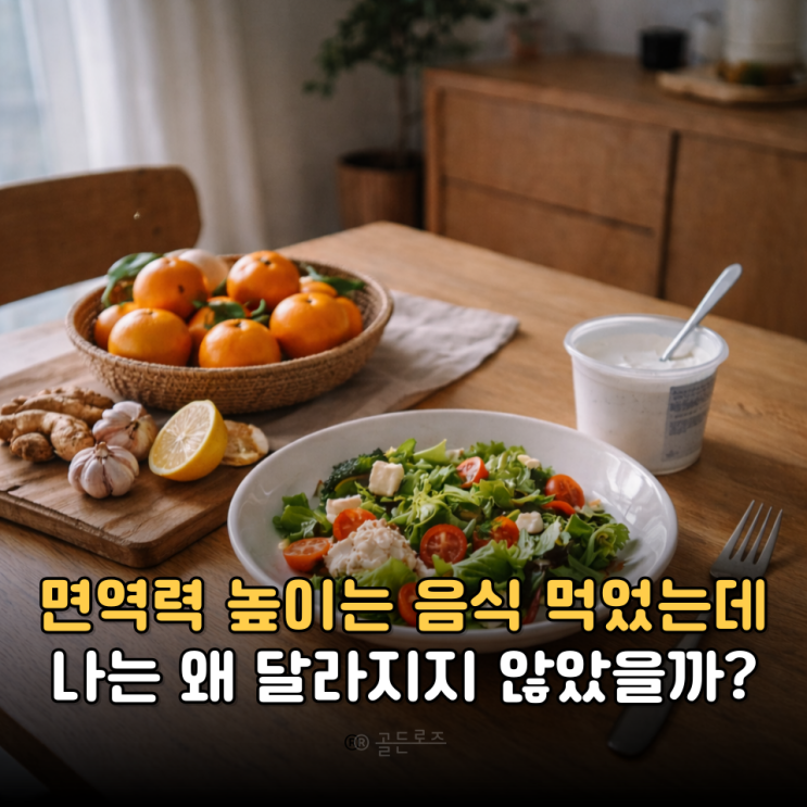  다들 챙긴다는 면역력 높이는 음식 저는 왜 효과가 없었을까요?