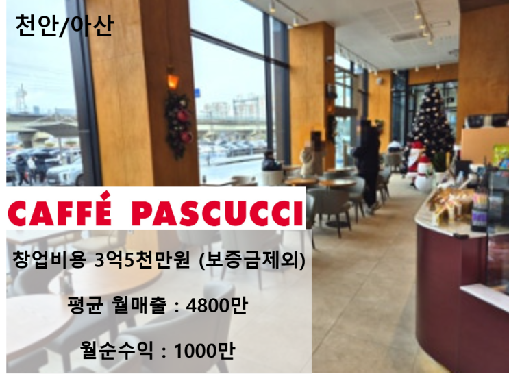  프랜차이즈 카페 천안/아산 카페파스쿠찌 창업 비용 메뉴 알아보자!