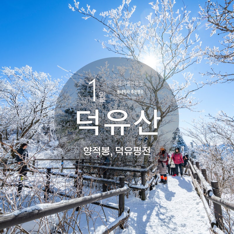사진 5