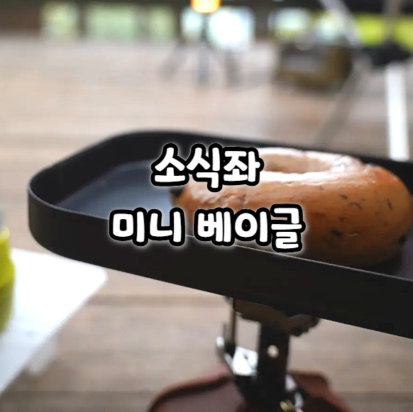  던킨도너츠 미니 베이글 냉동 도너츠 후기 소식좌에게 딱