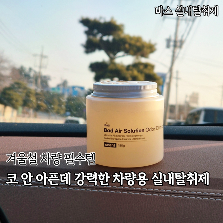  차량냄새제거에 좋다는 바스탈취제 차량용탈취제 실내탈취제 후기