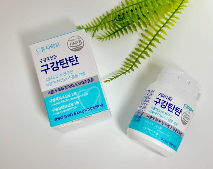  구강 유산균 추천 큐시락토 구강탄탄 아침 입냄새 제거 잇몸 건강 챙기세요