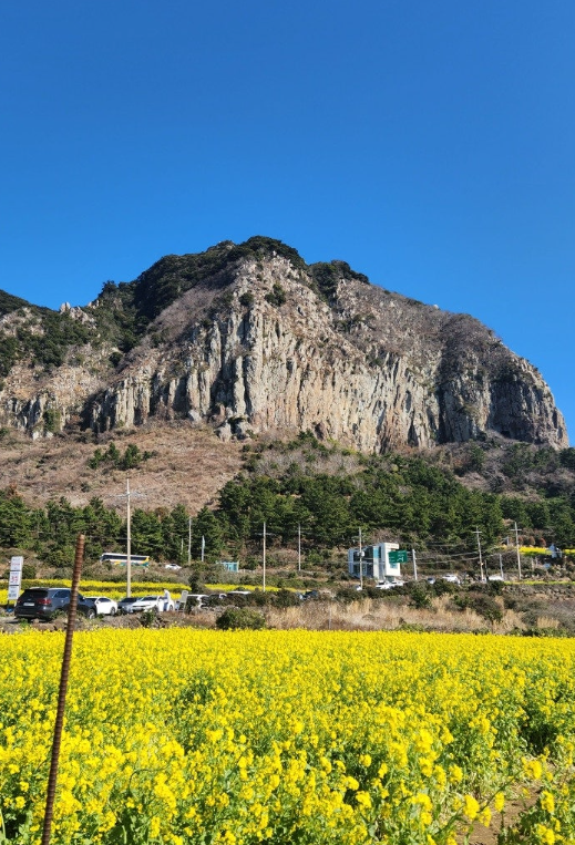  [제주] 국내선 항공권 영문 이름 예약 변경하기 | 땡처리닷컴으로 제주도 최저가 티켓 예약